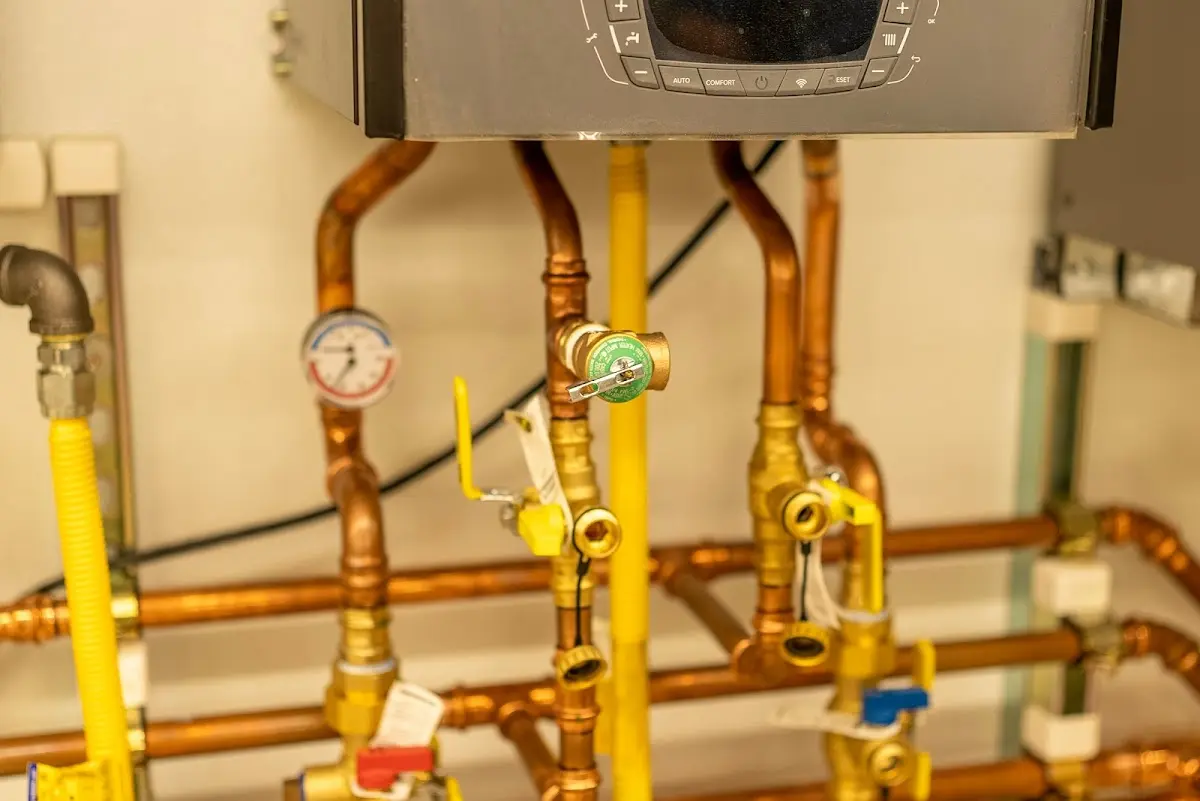 Licensed technician providing Emergency Plumbing for a homeowner in Bridgeville